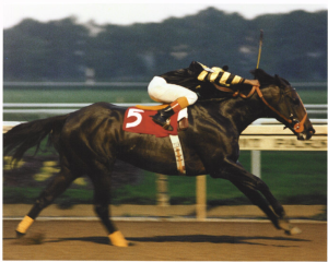Angel and Seattle Slew become one