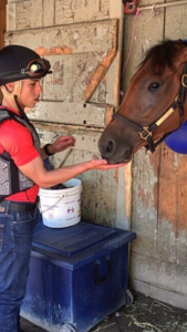 Irad Ortiz Jr. giving treats to a special filly