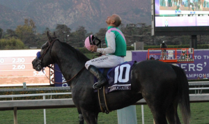 Arrogate and Mike Smith after winning The Breeders' Cup Classic