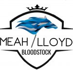 alt="Bloodstock agent logo Meah/LLoyd"