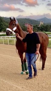 alt=" horse named Fast Pass standing next to trainer Peter Walder in Korea"