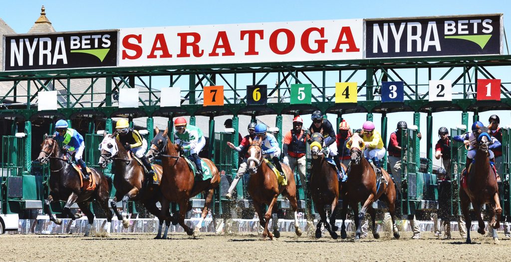 alt="the starting gate at Saratoga Race Course"