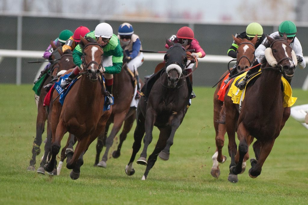 alt="Etoile wins EP Taylor Stakes at Woodbine"
