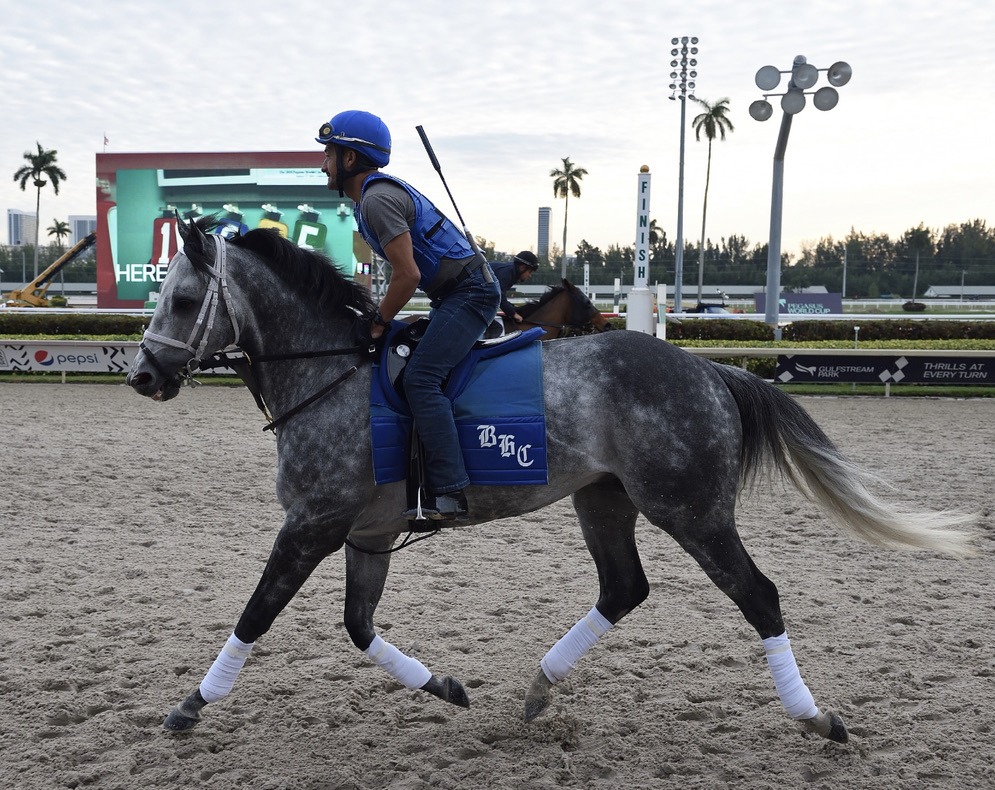 Knicks Go training for the Pegasus at Gulfstream Park