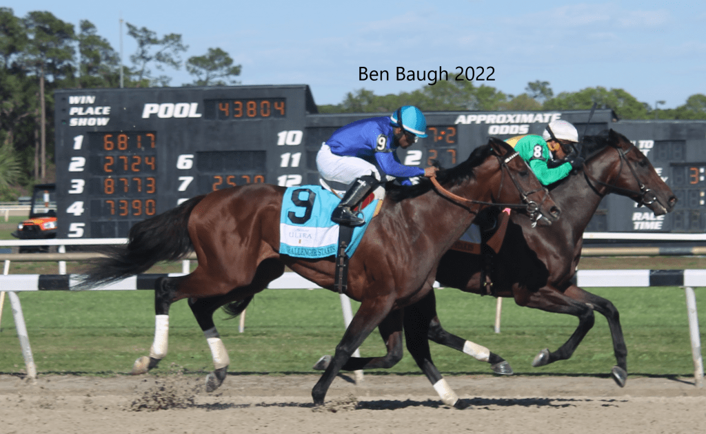 Scalding wins the Challenger Stakes at Tampa Bay Downs 