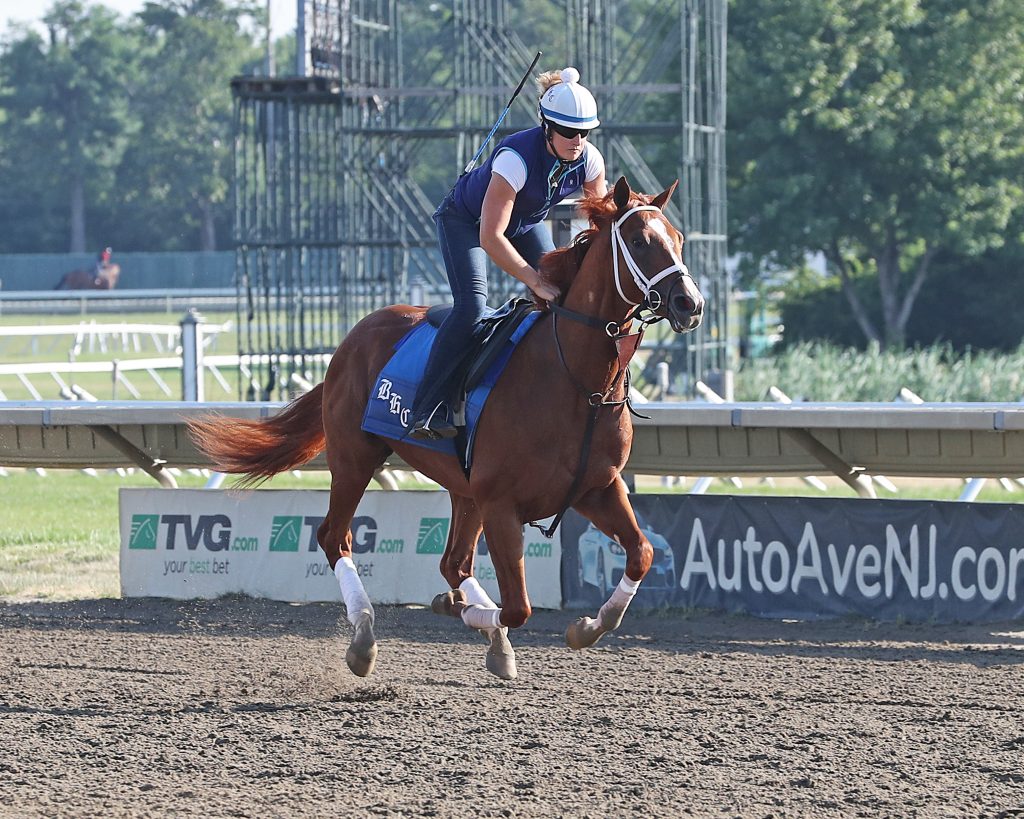 Cyberknife trains for The Haskell, Photo Bill Denver, Equi Photo