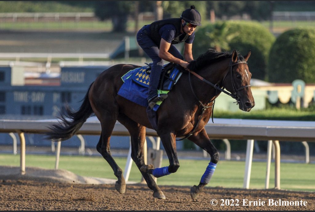 Taiba training for The Haskell