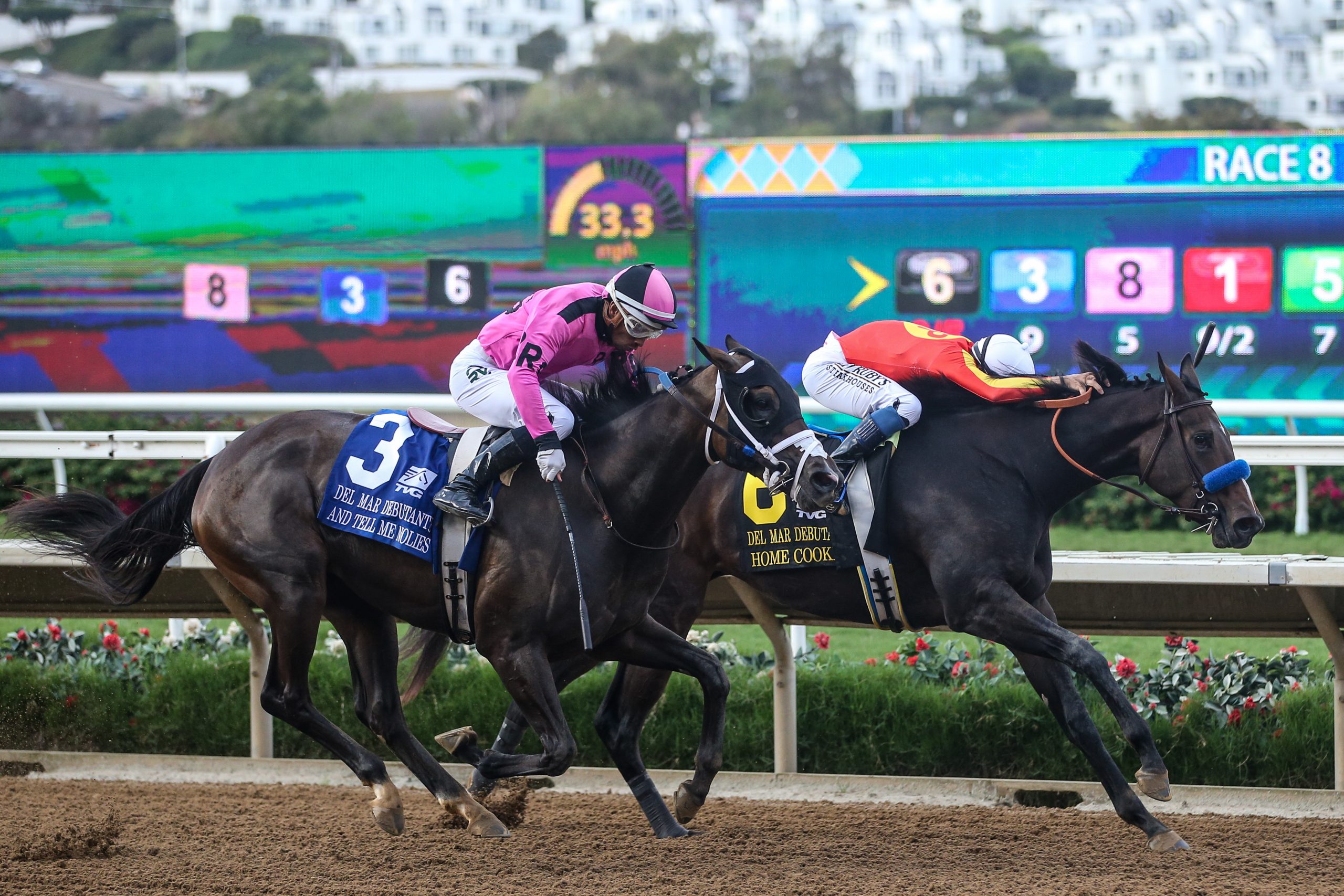 And Tell Me Nolies Wins Del Mar Debutante in Final Jump Past The Wire