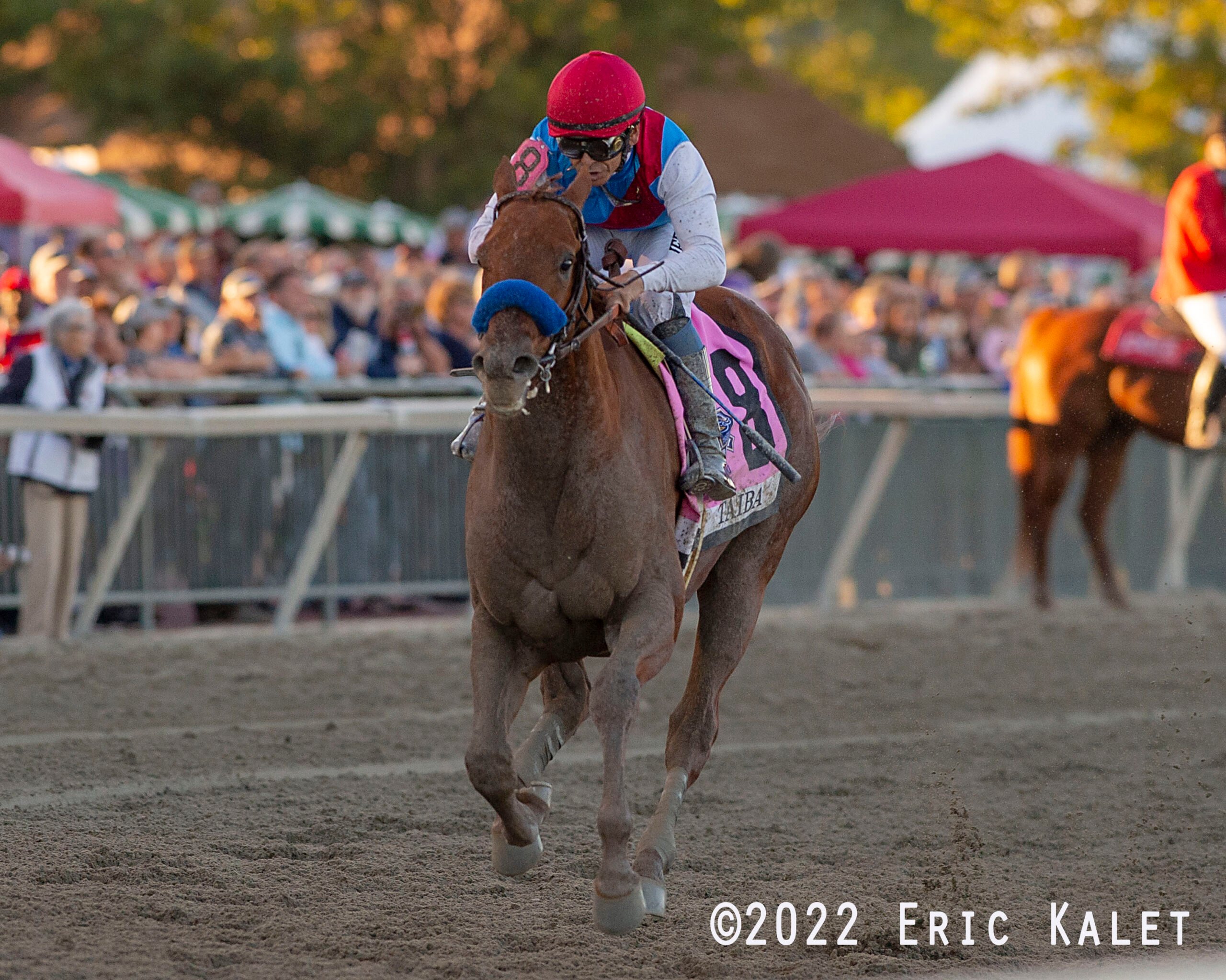 Santa Anita Picks Ultimatecapper - uoh1d8o