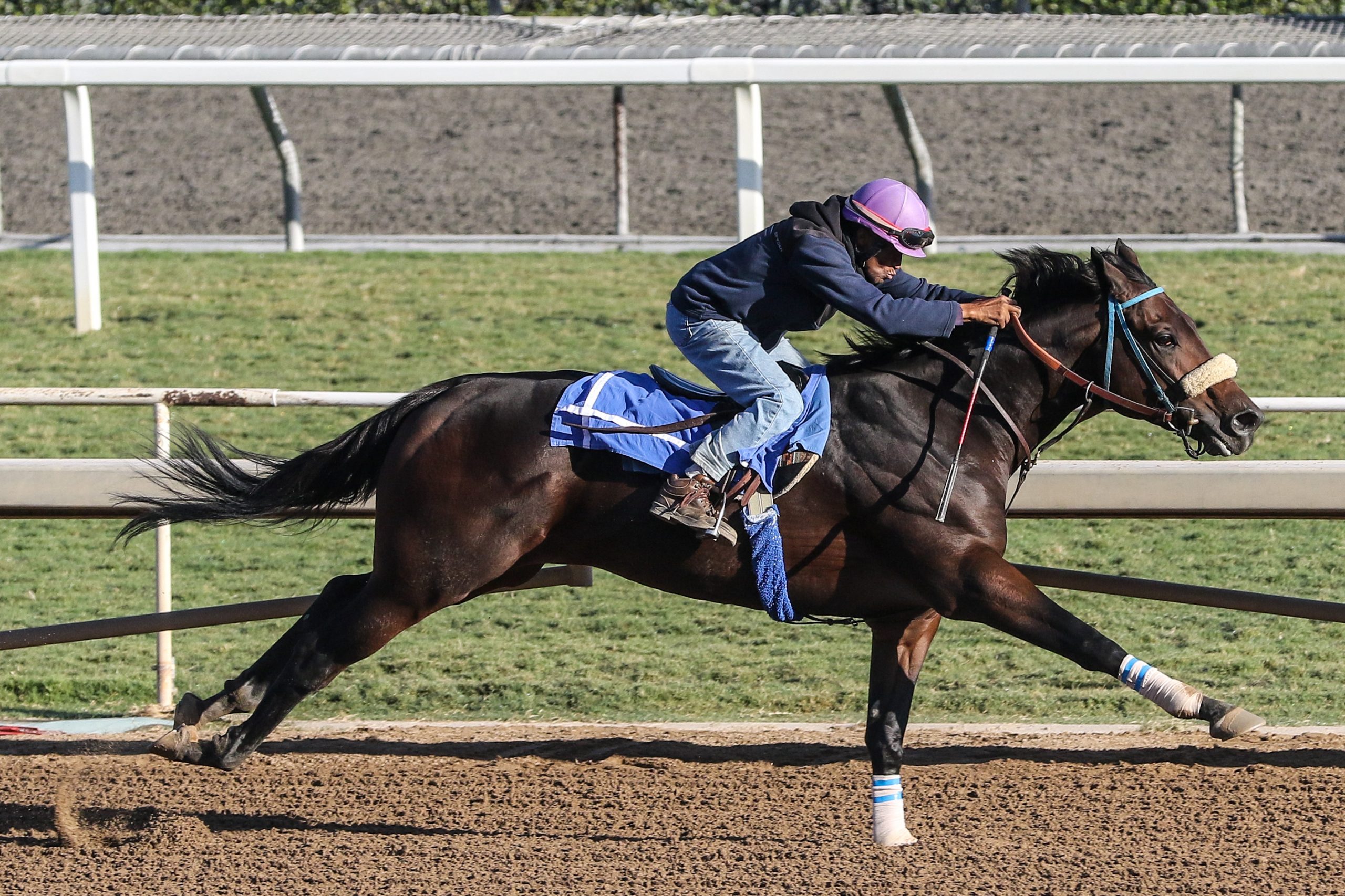 Let It Ride Kicks off Stakes Action at Del Mar Fall Meet Past The Wire