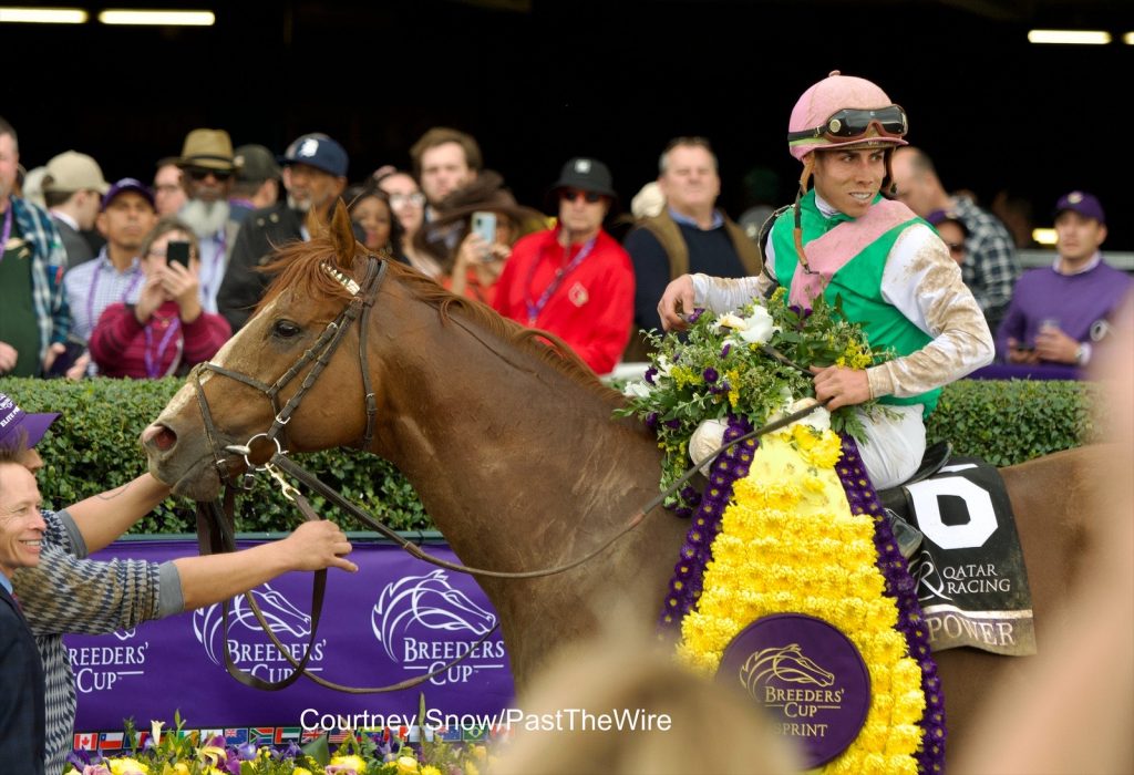 Elite Power was the victor in the 2022 Breeders' Cup Sprint at Keeneland. (Courtney Snow/Past The Wire)