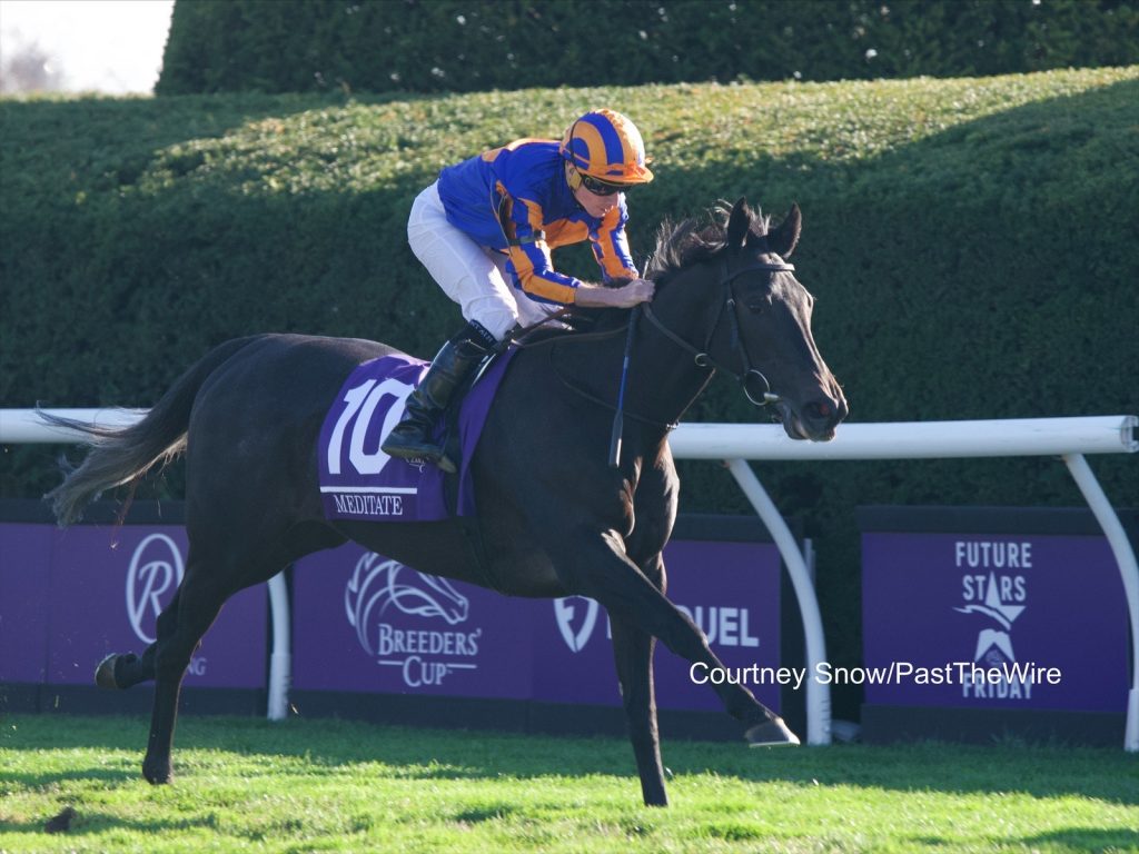 Meditate takes the Breeders' Cup under Ryan Moore at Keeneland for Aidan O'Brien, Courtney Snow, Past the Wire