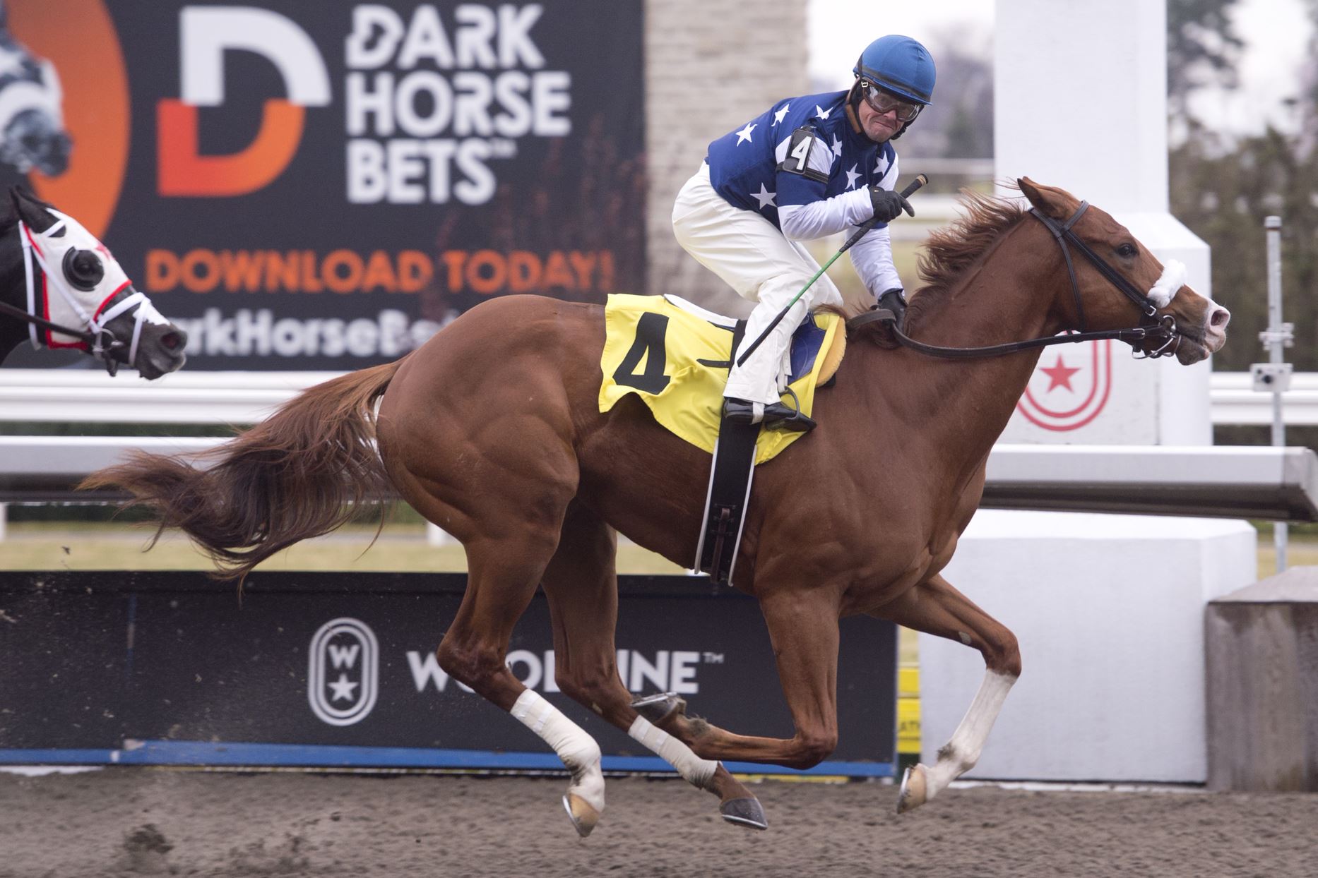 BACK-TO-BACK BC CUP STAKES WINS - Hastings Racecourse