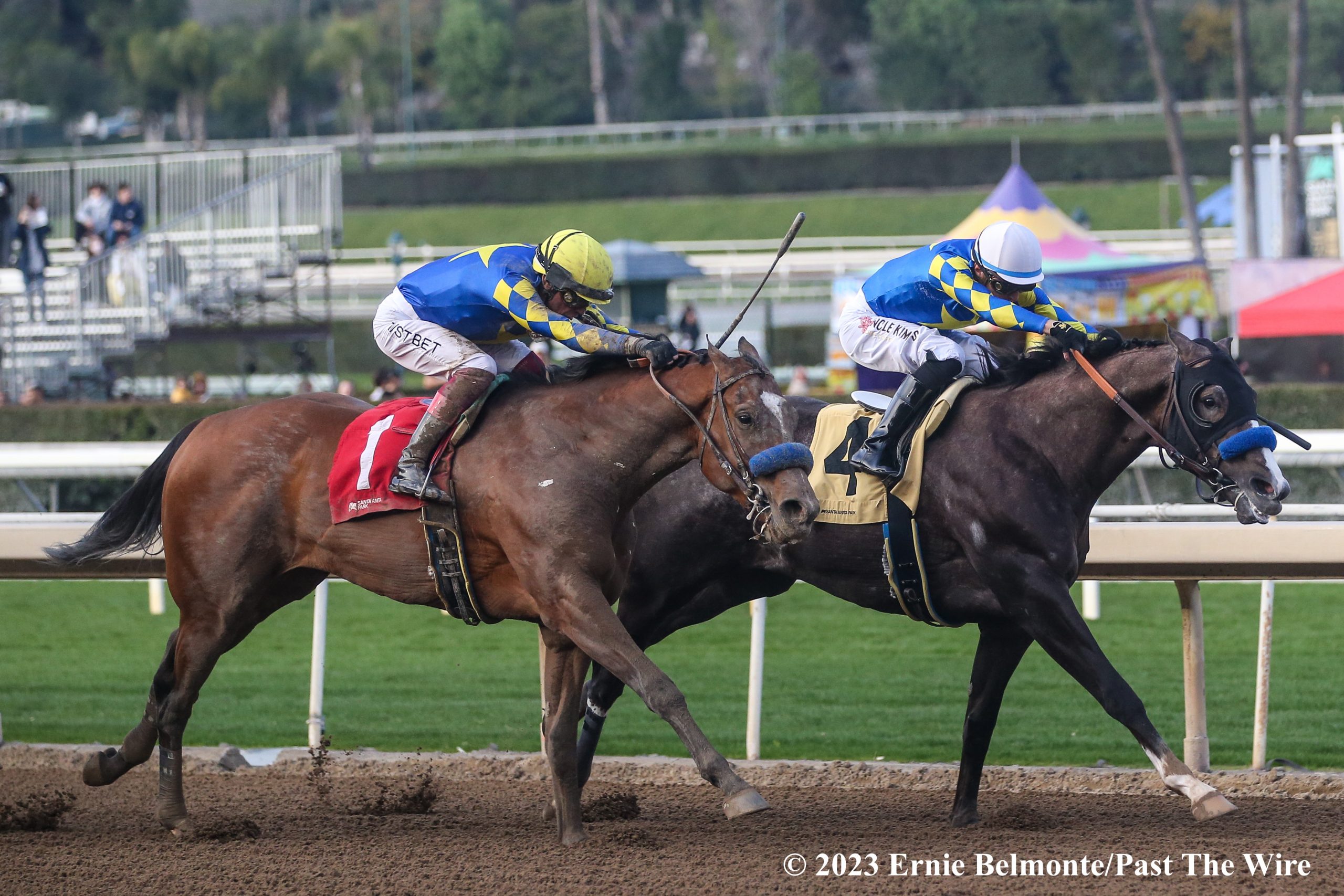 Reincarnate Smooth In GIII Sham Stakes Past The Wire