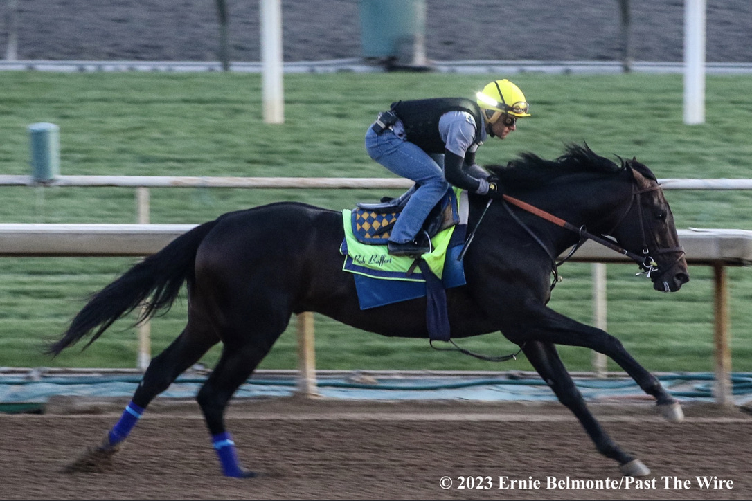 Discovering the Magic of the Kentucky Derby: A Backstage Journey You 