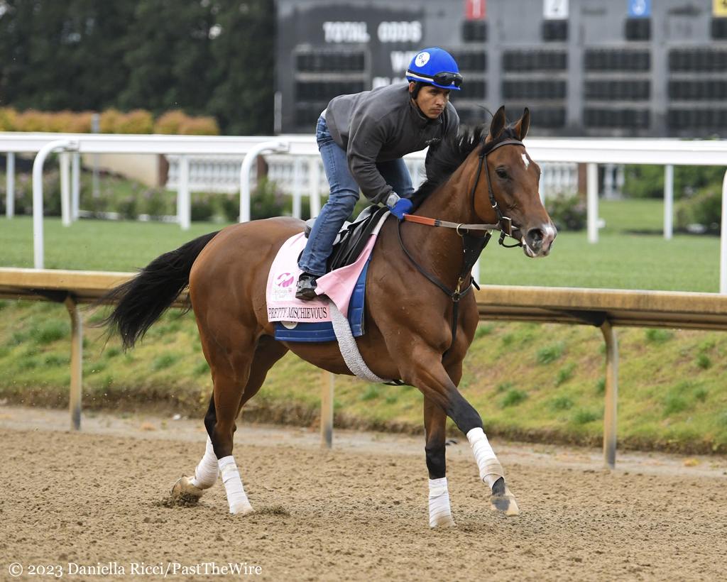 The Kentucky Oaks Fillies by the Thorograph numbers - Past The Wire