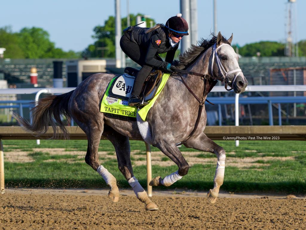 Tapit Trice training for The Kentucky Derby, Jenny Photo, Past the Wire