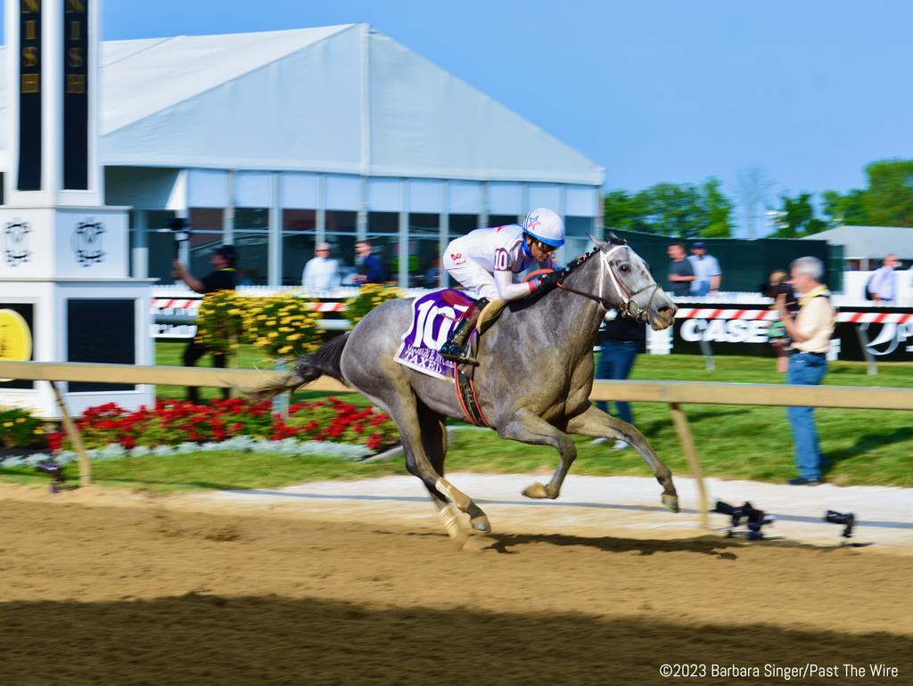 Taxed cruising to the G2 Black-Eyed Susan at Pimlico. (Barbara Singer/Past The Wire)