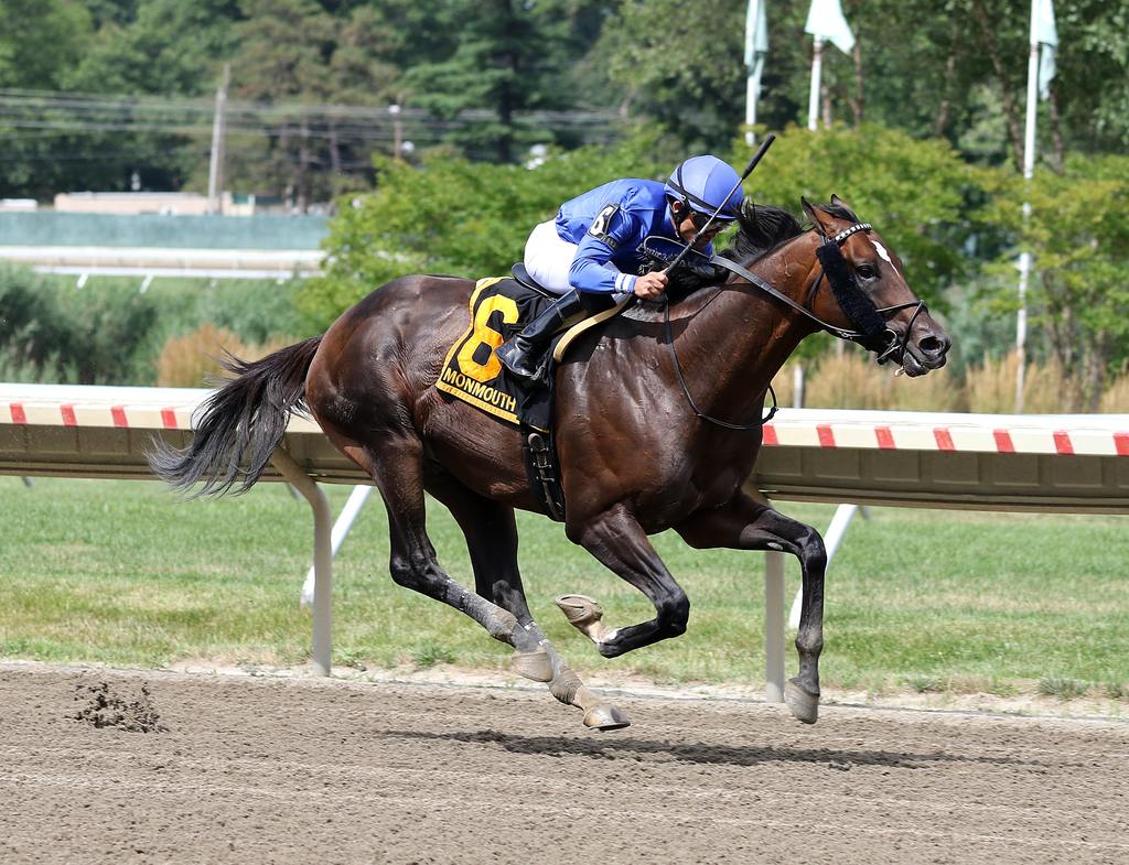 Proxy #6 with Joel Rosario riding won the $400,000 Grade III Monmouth Cup at Monmouth Park Racetrack in Oceanport, NJ. 7/22/23.  Photo By Bill Denver/EQUI-PHOTO