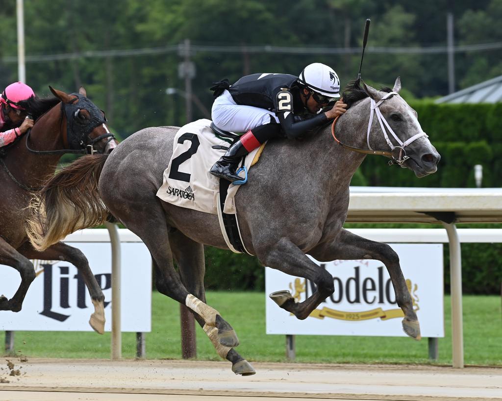 Seize the Grey breaking his maiden at Saratoga in July. (Susie Raisher). 