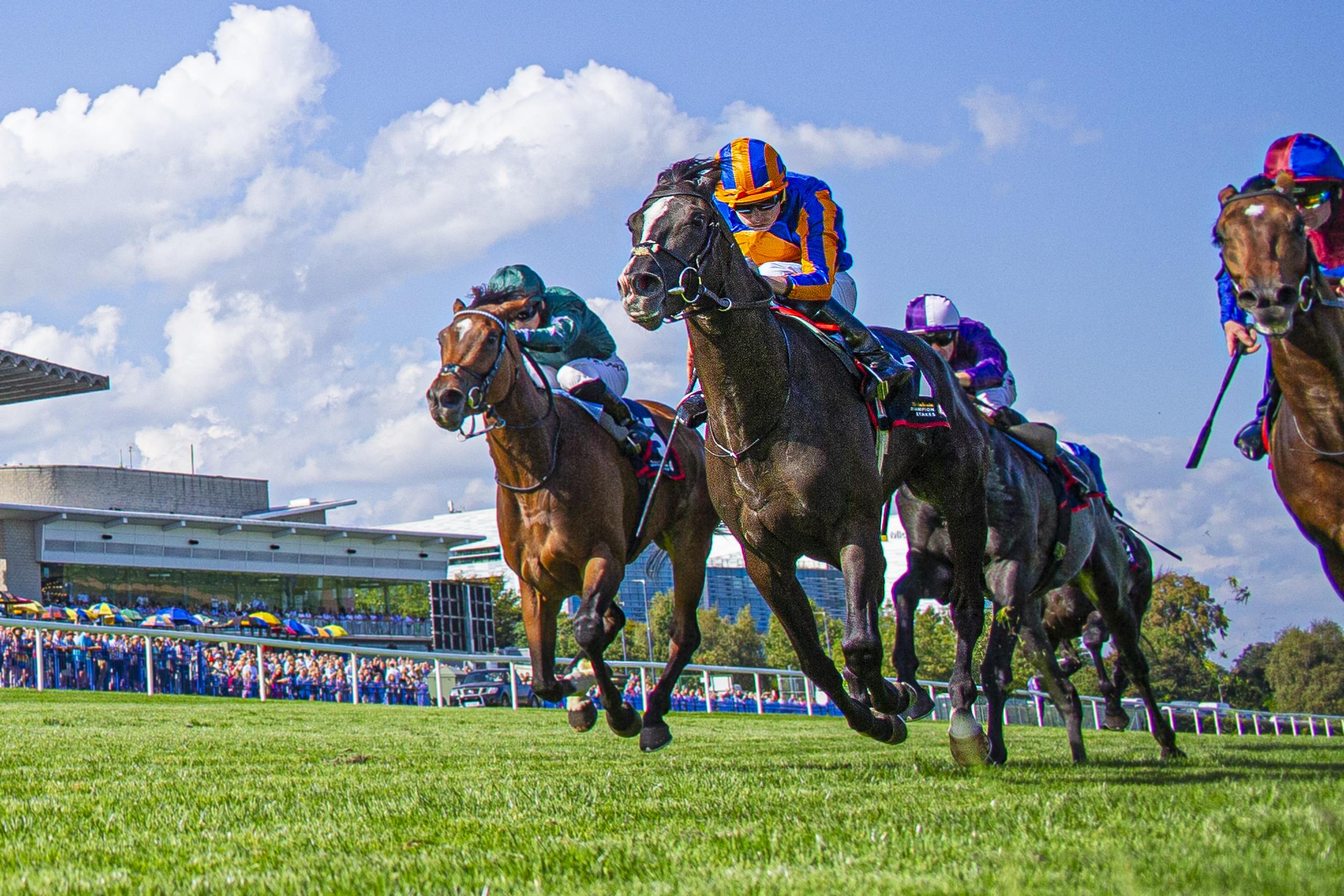 Auguste Rodin Wins Royal Bahrain Irish Champion Stakes - Past The Wire