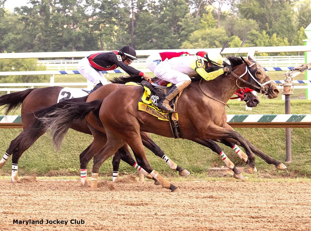 Hybrid Eclipse battling Intrepid Daydream (third) and Award Wanted (second) for the win in the Caesar's Wish at Laurel Park. (Jim McCue/MJC)