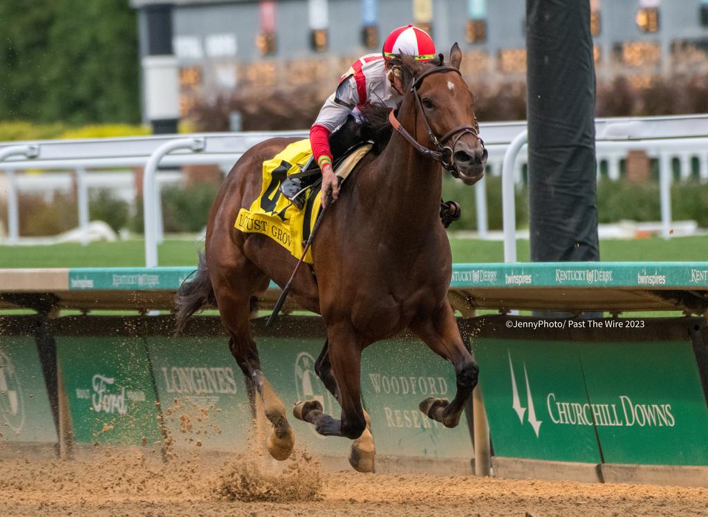 Search Results returns to winning ways in the Locust Grove at Churchill Downs for Chad Brown, Jenny Photo, Past the Wire