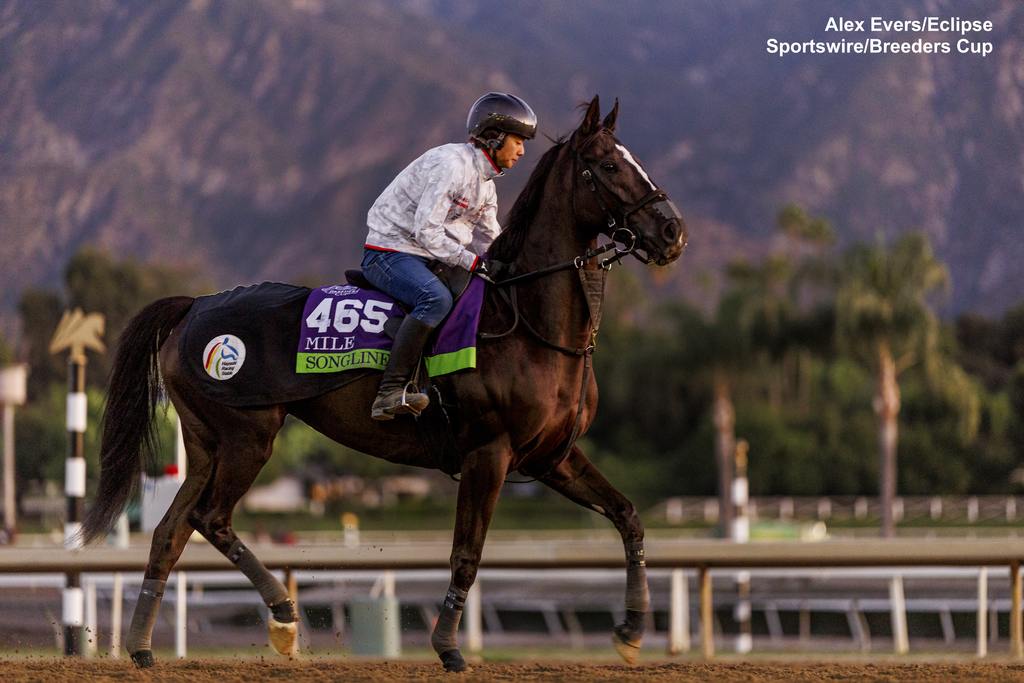 Songline out on the main track. (Alex Evers/Eclipse Sportswire/Breeders Cup)