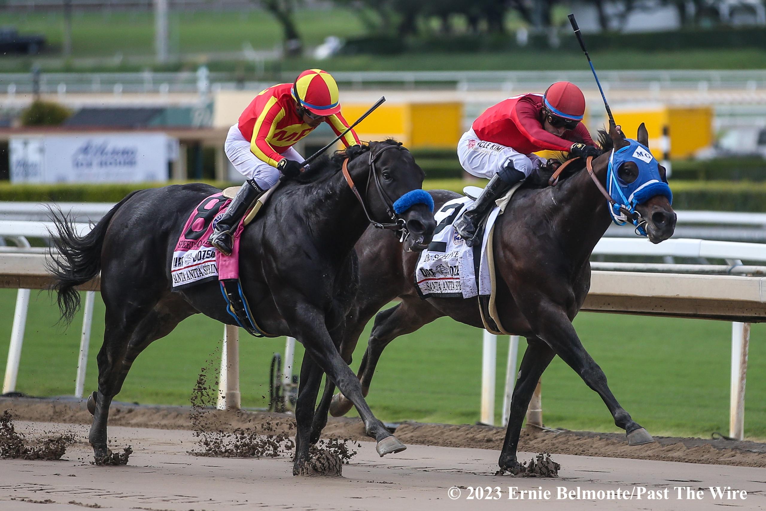 Dr. Schivel All Heart in Capturing G2 Santa Anita Sprint Championship ...