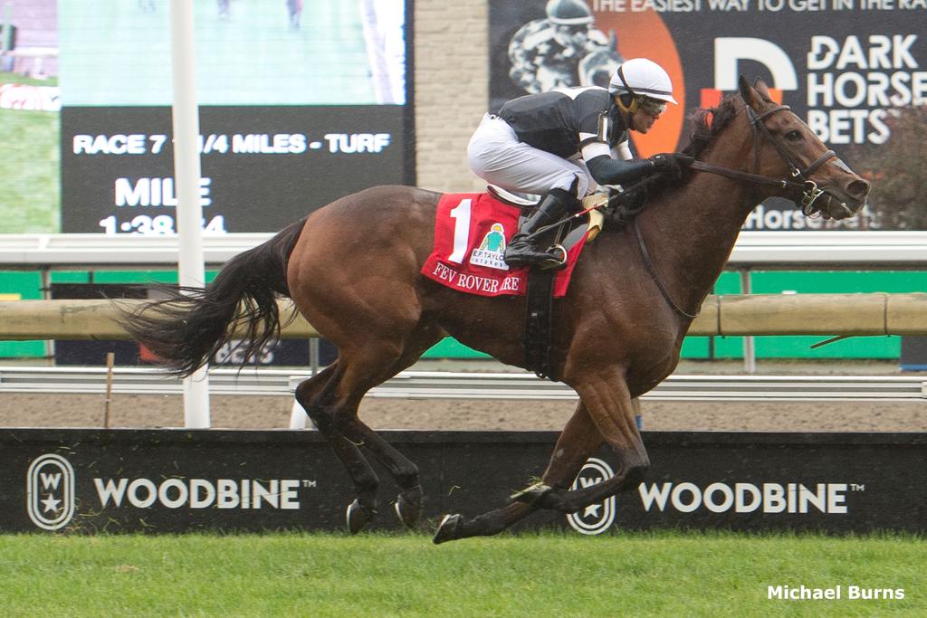 Fev Rover scoring in the E.P. Taylor at Woodbine. (Michael Burns Photo)