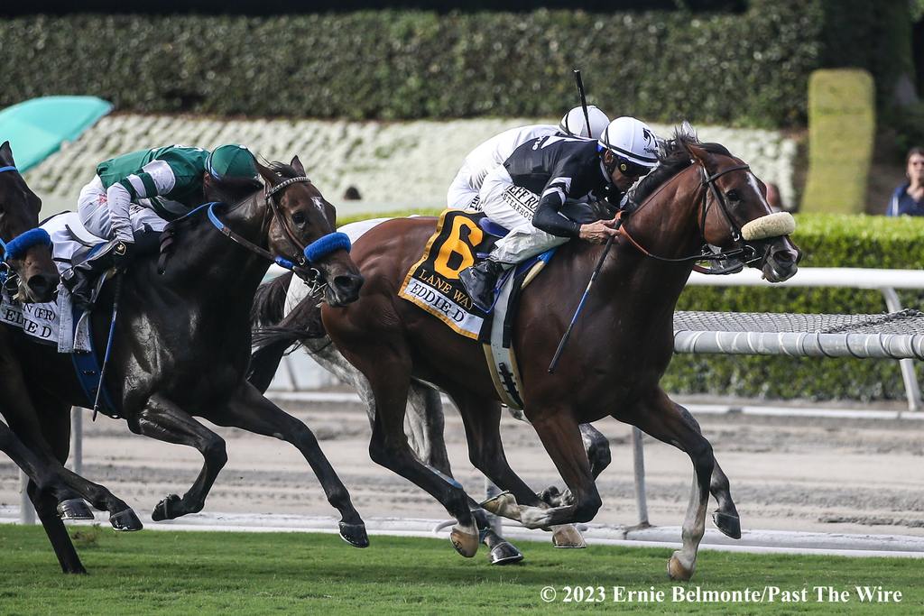 Lane Way scoring in the Eddie D Stakes. (Ernie Belmonte/Past The Wire)