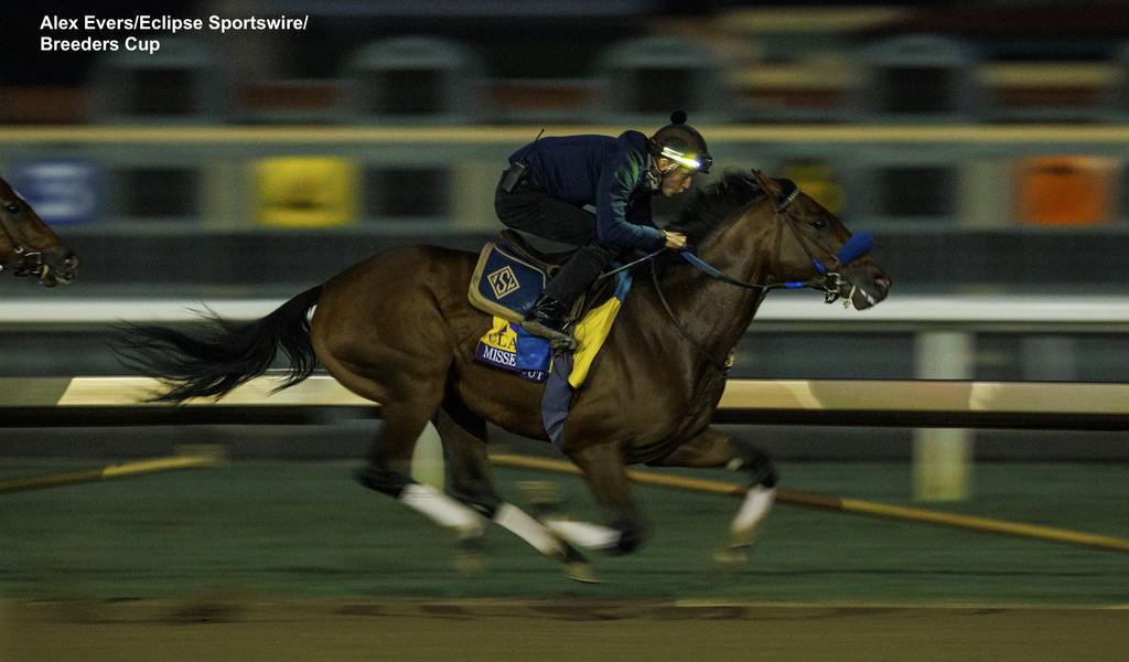 Missed the Cut during morning workouts at Santa Anita. (Alex Evers/Eclipse Sportswire/Breeders Cup)