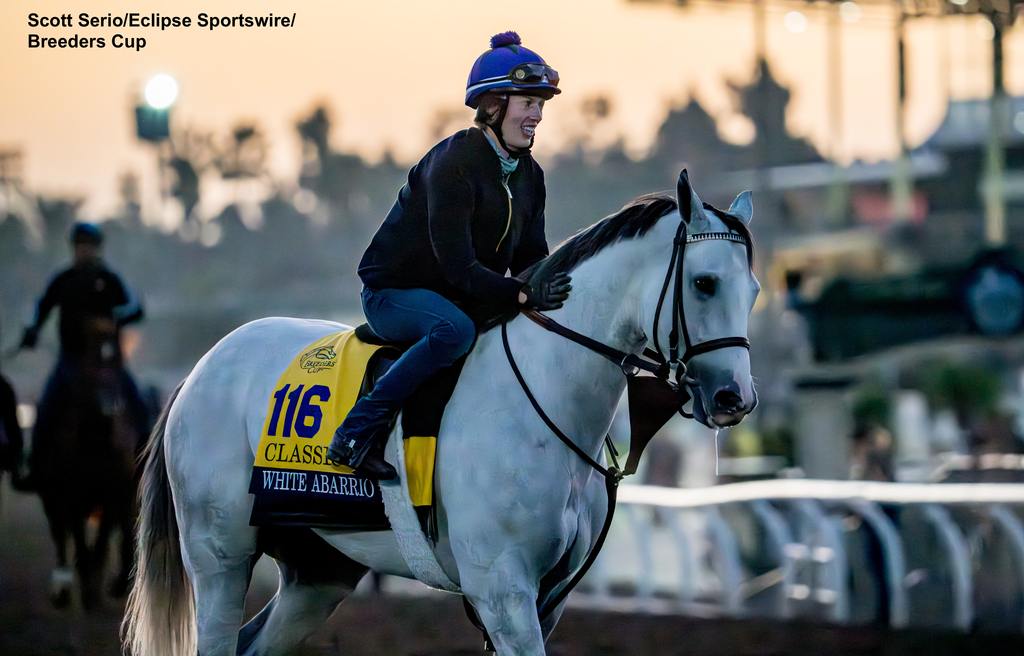 White Abarrio heading out for his morning work. (Scott Serio/Eclipse Sportswire/Breeders Cup)