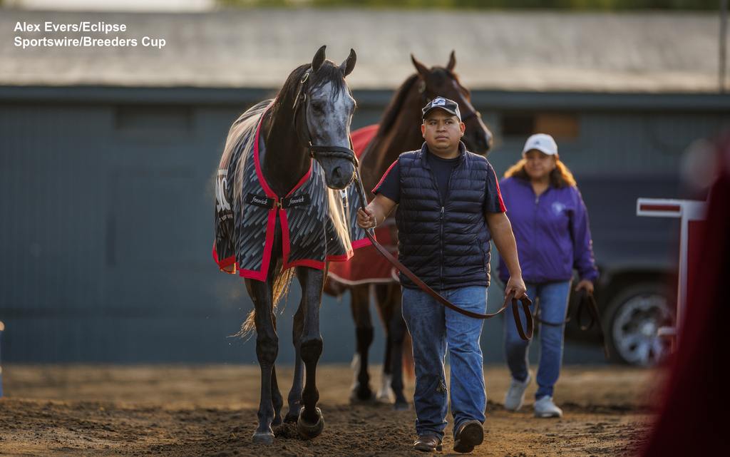 Arcangelo and his groom take a stroll around the backstretch. (Alex Evers/Eclipse Sportswire/Breeders Cup)