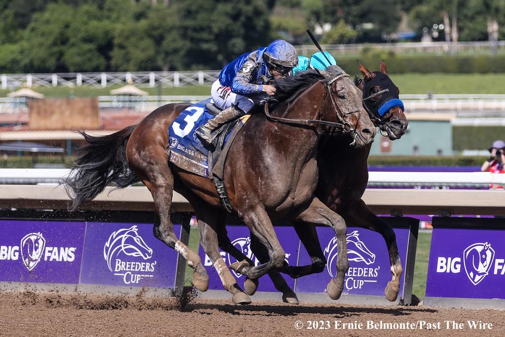 Cody's Wish with Junior Alvarado up battled National Treasure to the wire for the win in the Breeders' Cup Dirt Mile. (Ernie Belmonte/Past The Wire)