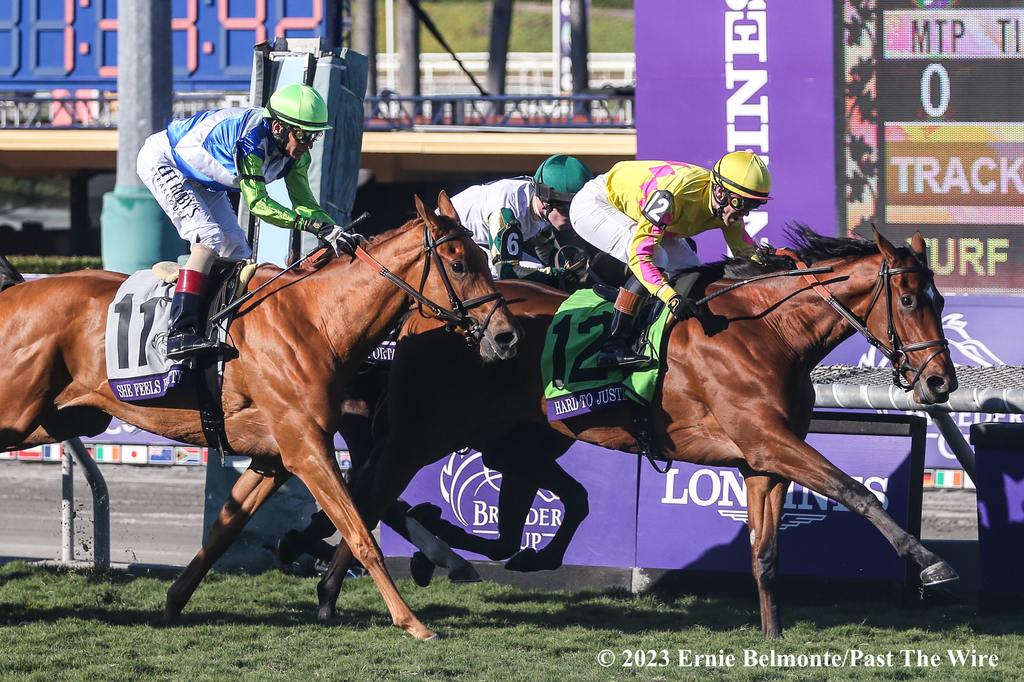 Hard to Justify hard to beat in the Breeders' Cup Juvenile Fillies Turf (Ernie Belmonte/Past The Wire)