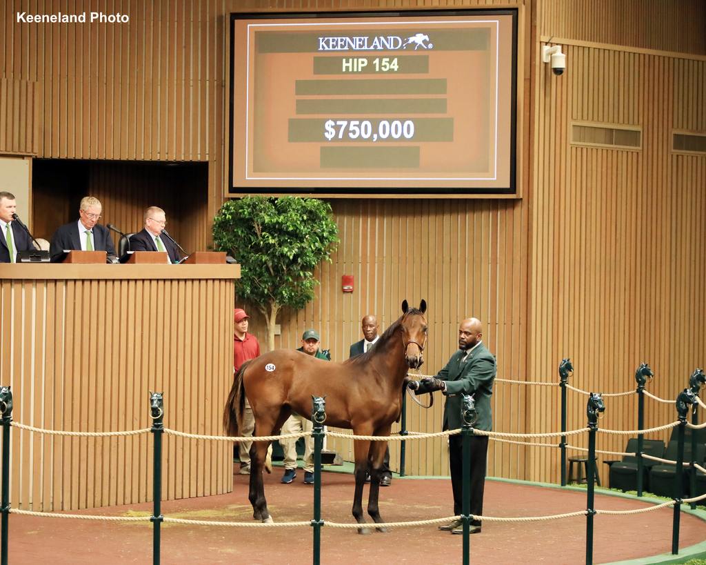 At $750,000, the session’s top-priced weanling was a colt by Gun Runner