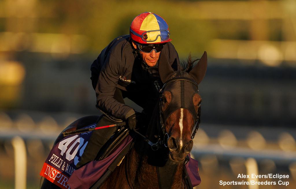 Inspiral on Tuesday. (Alex Evers/Eclipse Sportswire/Breeders Cup)