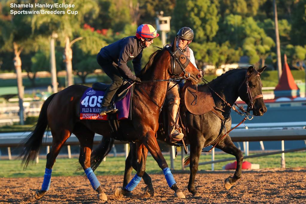 Inspiral out for a work with Dettori. (Shamela Hanley/Eclipse Sportswire/Breeders Cup)