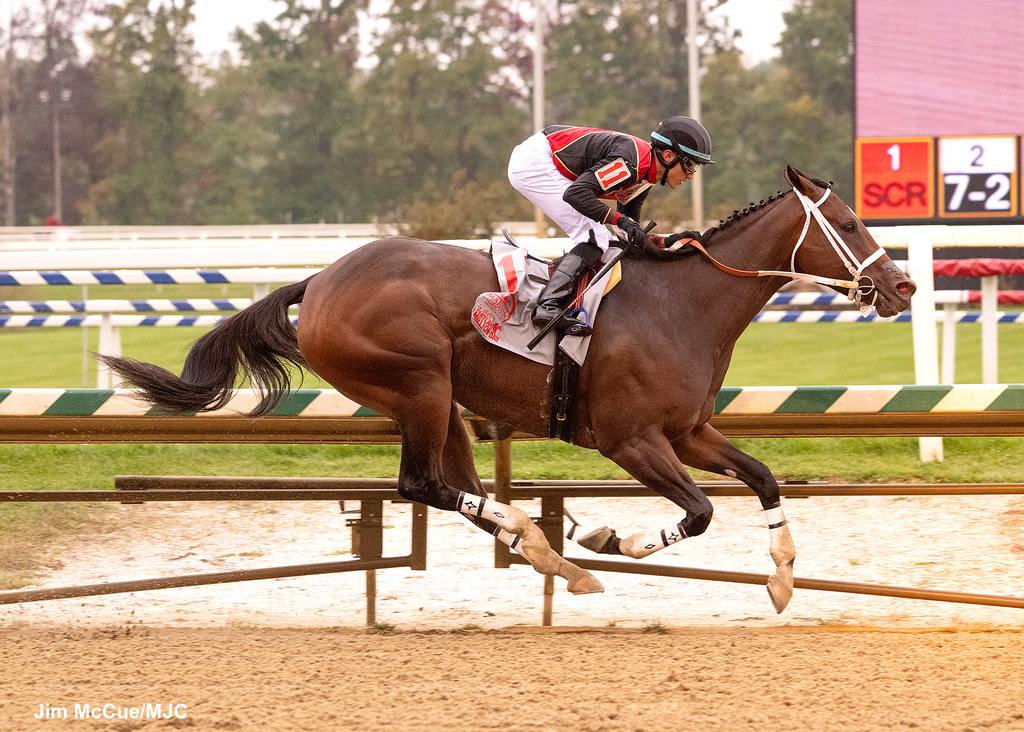 Intrepid Daydream was the definitive victor in the Maryland Million Distaff. (Jim McCue/MJC)