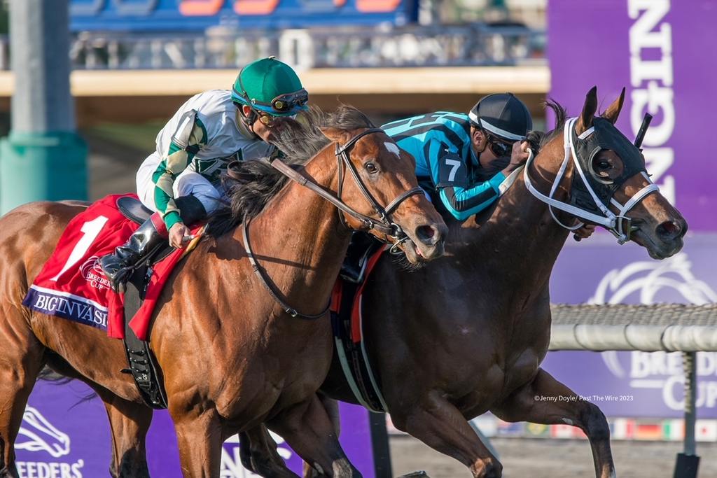 Nobals with Gerardo Corrales aboard fought off Big Invasion for the win in the Breeders' Cup Turf Sprint. (Jenny Doyle/Past The Wire)1