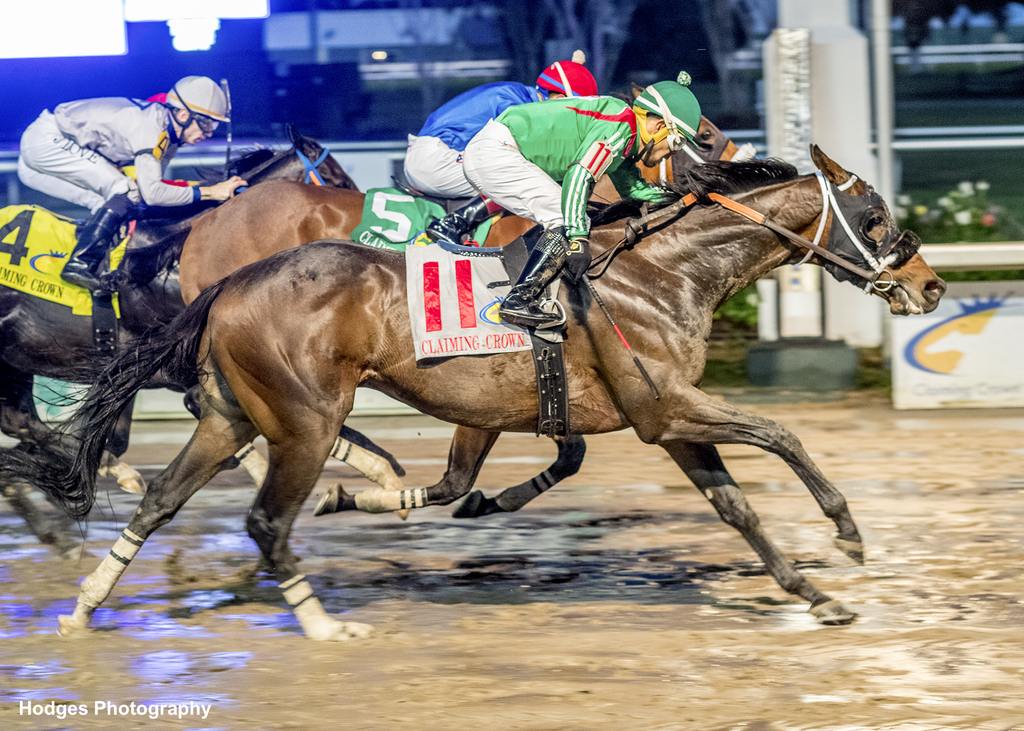 Richiesonaroll (#11 outside) wins the photo over Startdfromdabottom (inside) in the Claiming Crown $100,000 Raid Transfer Starter. (Hodges Photography/Lou Hodges Jr.)