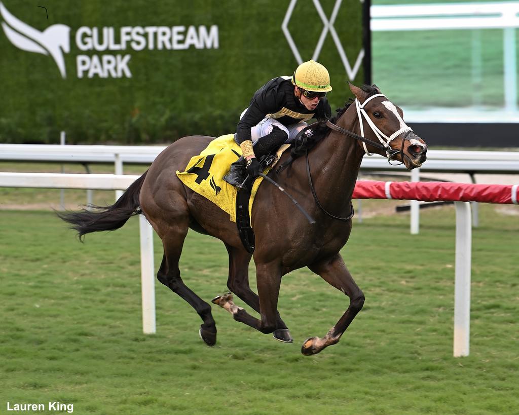 Full Count Felicia takes the Suwanee River (G3) Dec. 30 at Gulfstream Park. (Lauren King)