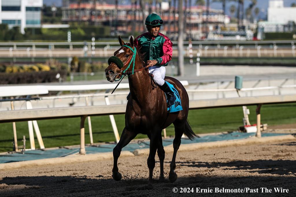 Grand Slam Smile with Frank Alvarado up takes top honors in the California Cup Oaks Jan. 13, 2024 at Santa Anita. (Ernie Belmonte/Past The Wire)