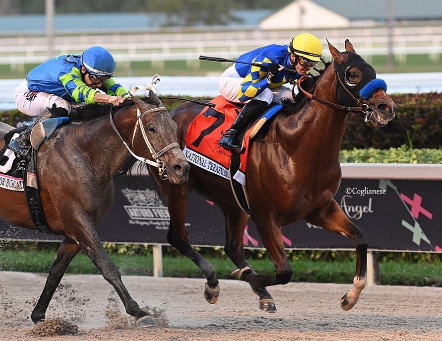 Senor Buscador rallied from 11th to give a game challenge to National Treasure. (Coglianese Photo)