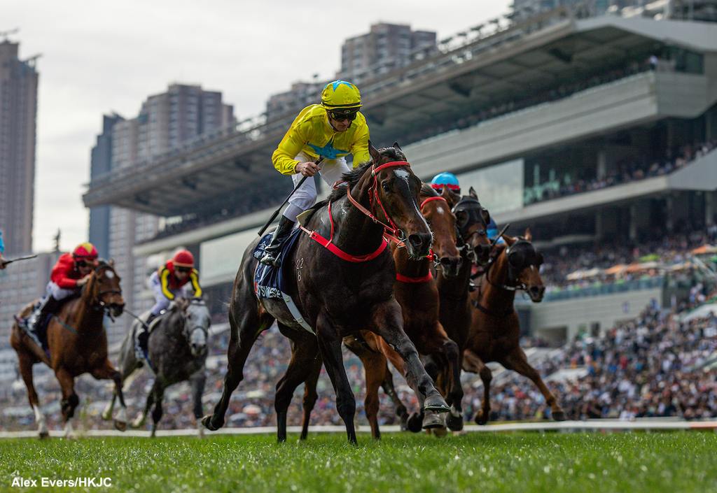 Lucky Sweynesse is a four-time Group 1 winner. (Alex Evers/HKJC)