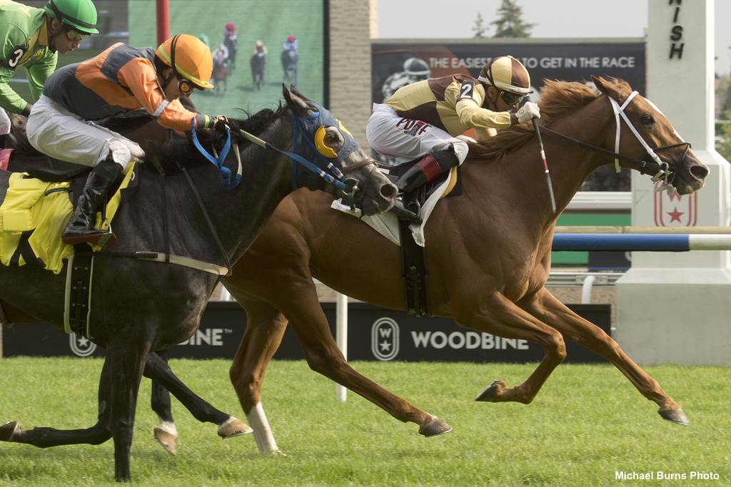 Toronto On.September 3, 2023.Woodbine Racetrack.R8roaring Forties Jockey Rafael Hernandez.Woodbine/ Michael Burns Photo