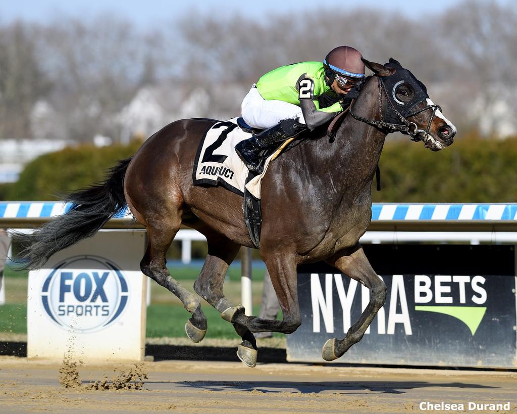 Law Professor winning the Excelsior at Aqueduct. (Chelsea Durand)