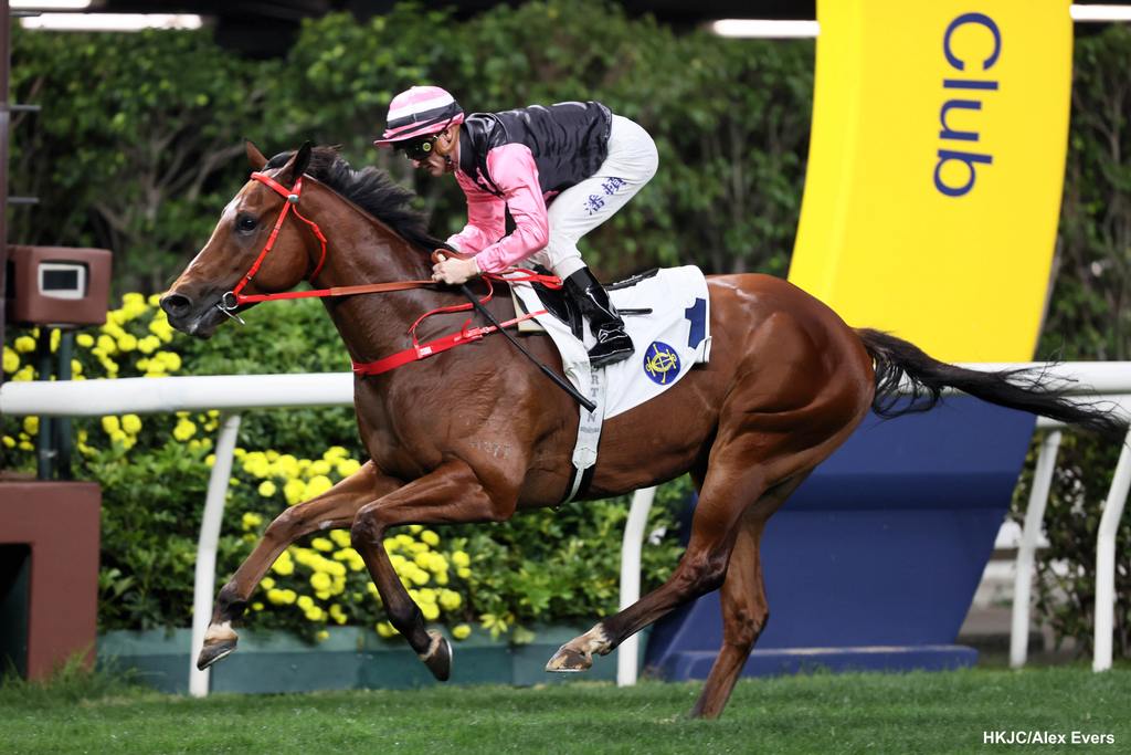Beauty Infinity gives Zac Purton a three-timer. (HKJC/Alex Evers)