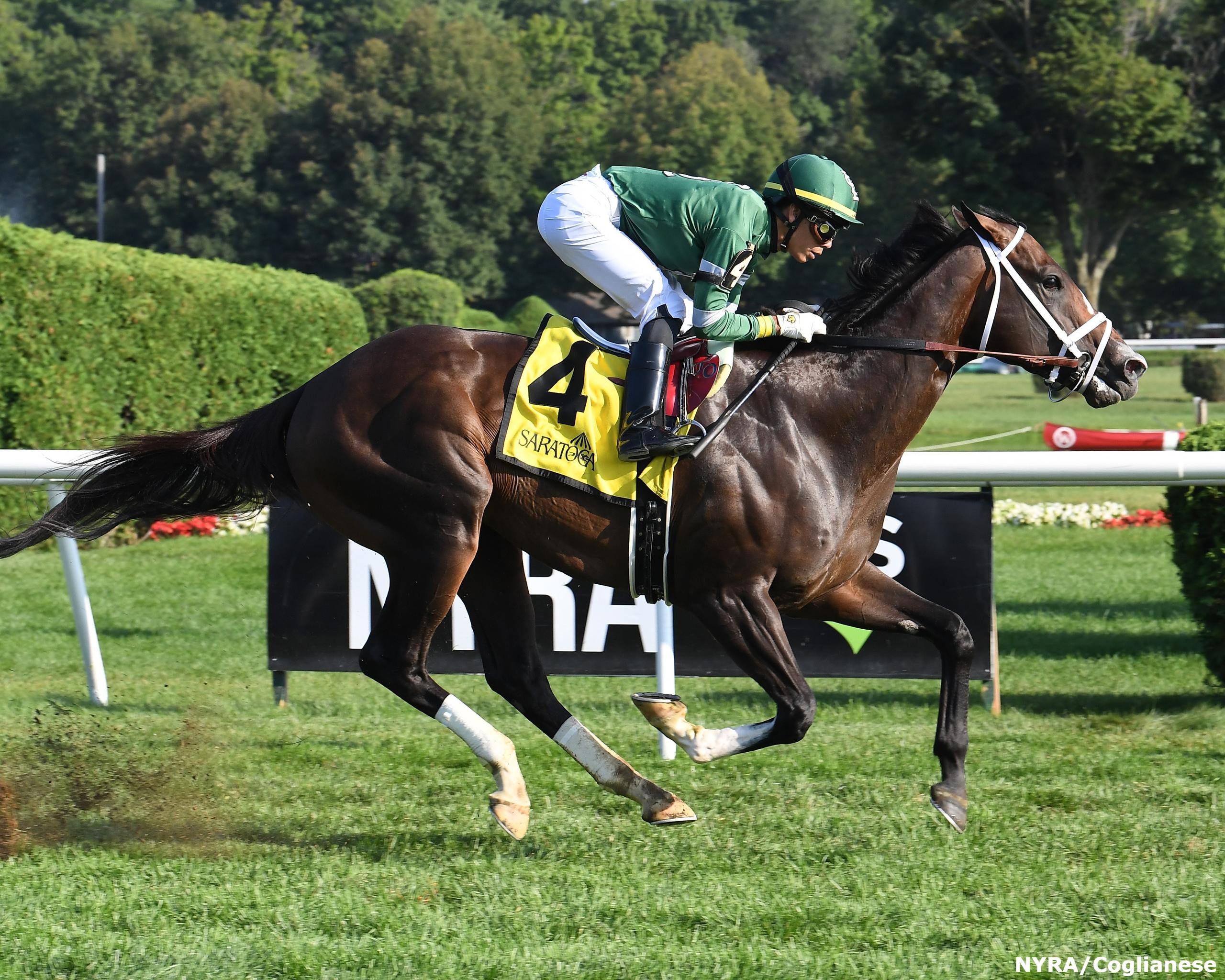 Gulfstream Park Scratches Today - 6oz34jk